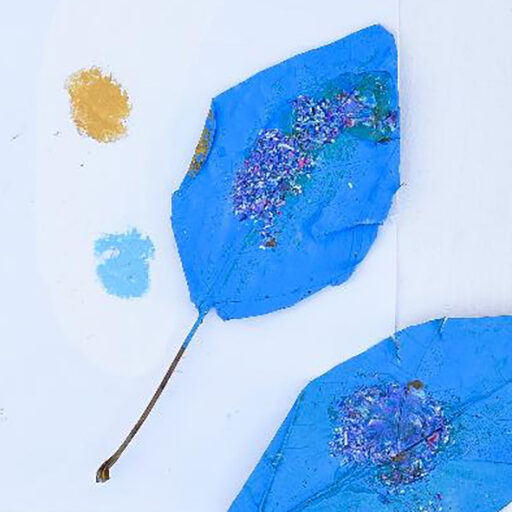 Pittura Dario Scotti